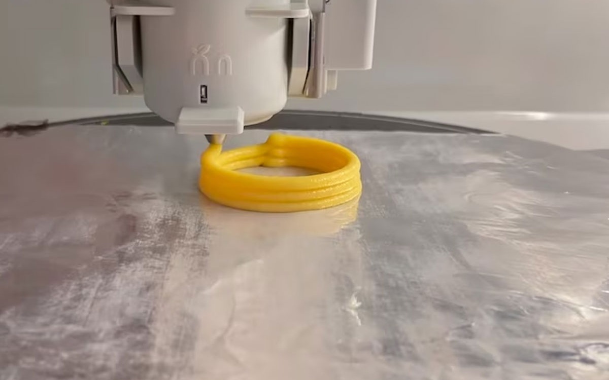 They printed 3D squid rings that are edible and provide up to 5% more protein than real squid.