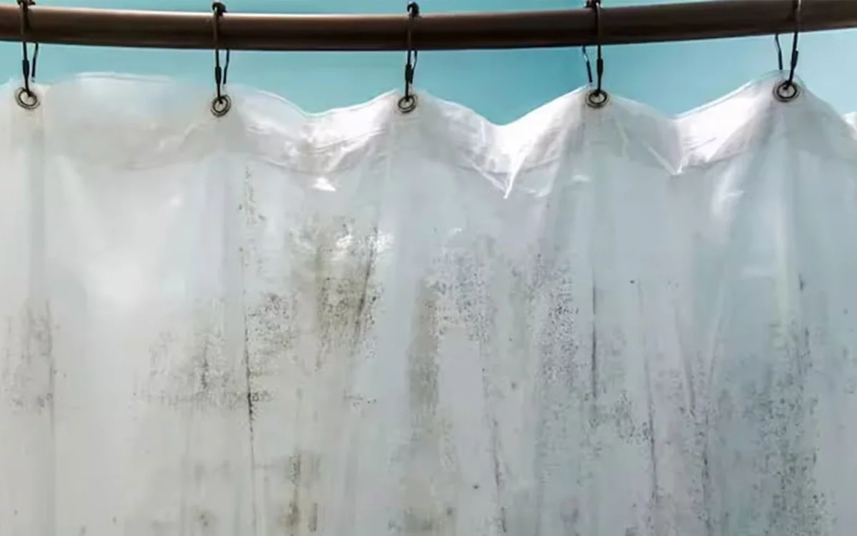 How to clean plastic shower curtains to eliminate mold and bad odors effortlessly: quick guide
