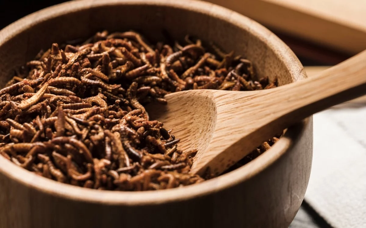 Edible insects: the ten exotic and nutritious delicacies that surprise the world