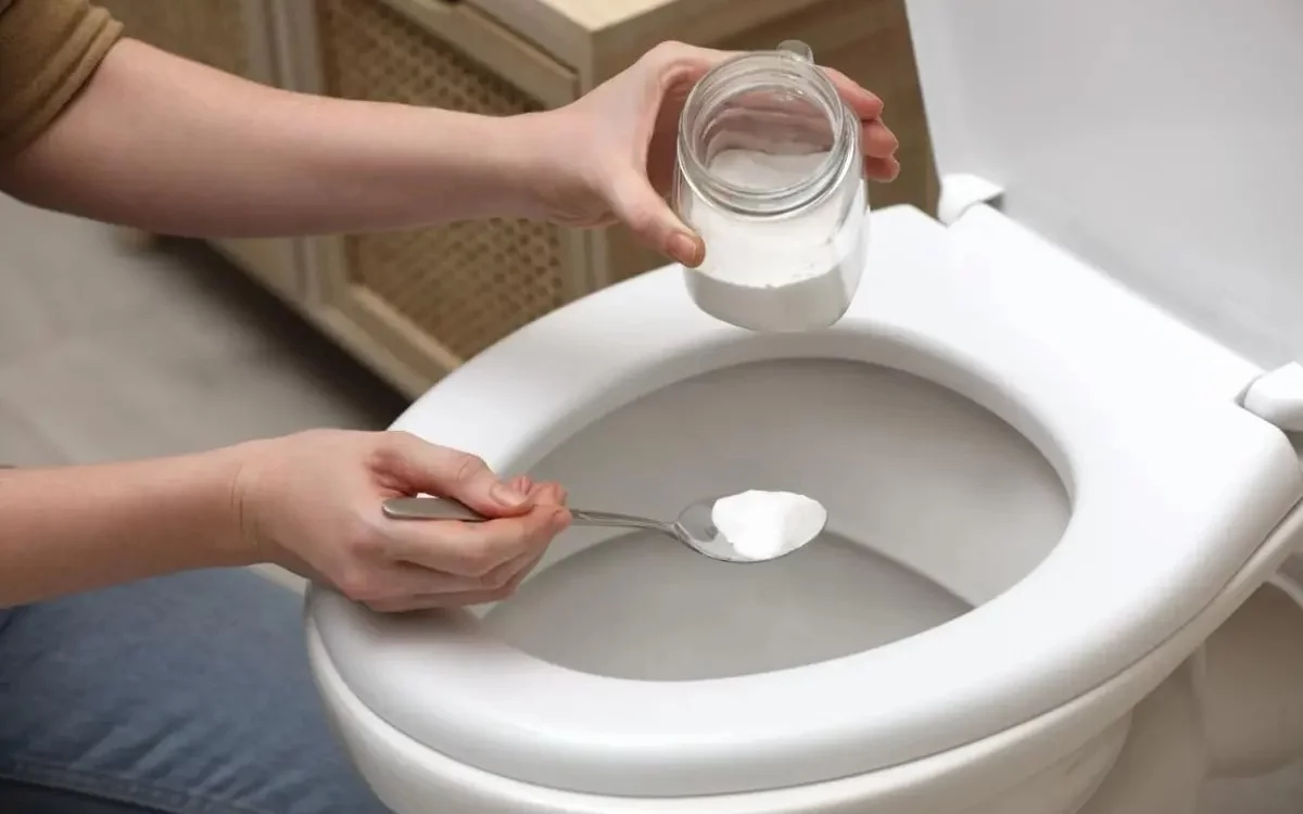 Why you should sprinkle salt in the toilet every night: the trick that transforms your bathroom