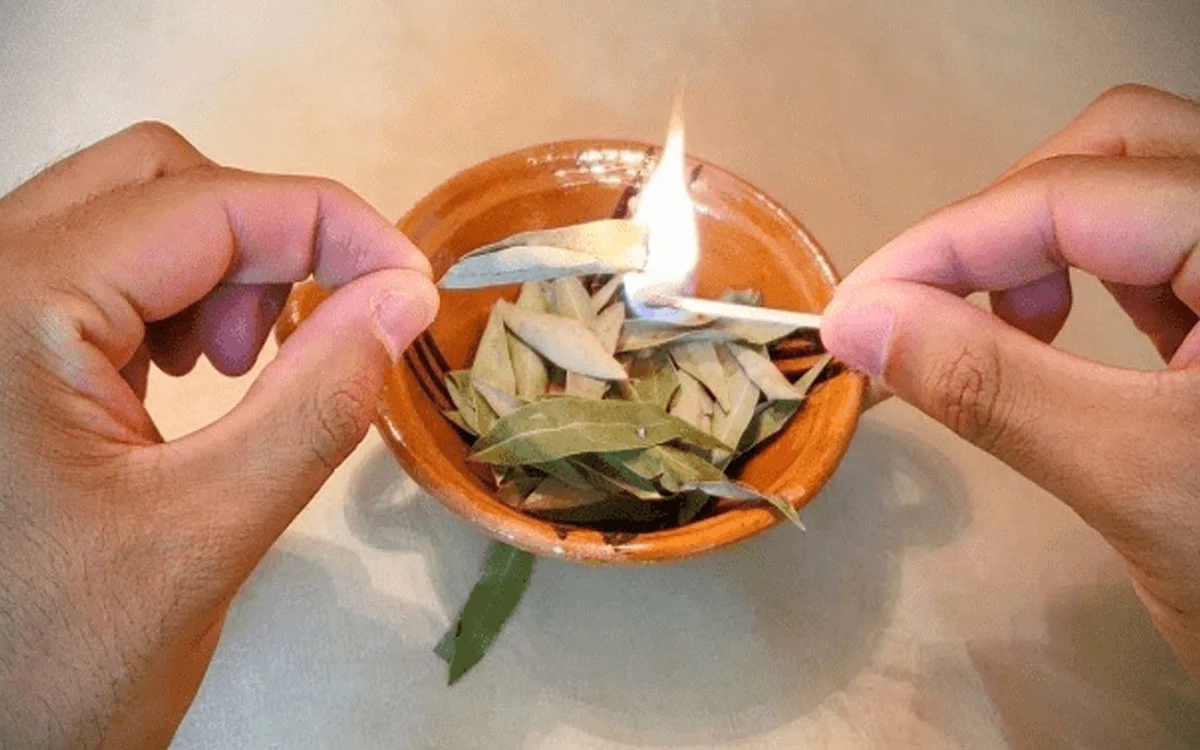 Why burning bay leaves during the waxing moon attracts positive energy, according to metaphysics