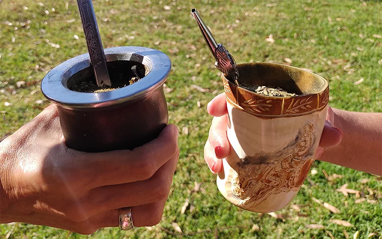 You might also be interested in this article... Pros y contras de cada yerba mate